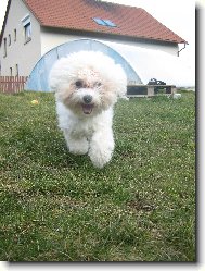 M�j d�m, m�j hrad