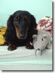 D�ja ze �t�kotu