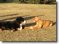 \"....be my Valentine, baby!\"