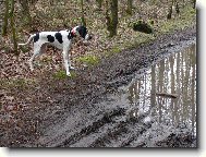 Snoopy 8 m�s�c�