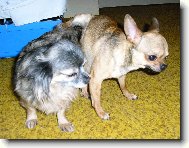 J� si u�iju a ty se m�mo starej !!!