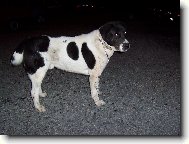 Emir Chan z Pr��elsk� rokle