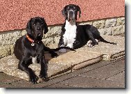 Ani�ka a Dolomita z Pern�t�nsk�ch hradeb