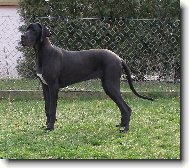 Dolomita z Pern�t�nsk�ch hradeb