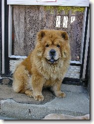 Tady hl�d�m j�....