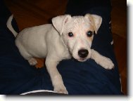 j� jsem Jack a ty?