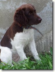 Hera z Vlasteck�ho vrchu\\.\\.\\.\\.Bona