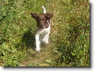 Hera z Vlasteck�ho vrchu