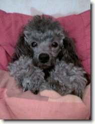 kdy� je mi zima zalezu si pod pe�inu