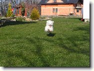 Mike�ek ze �ukova