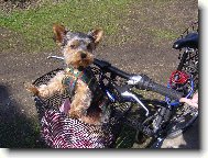 hur��� jedu na v�let.