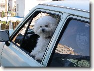 E�te dlho budem �aka�?