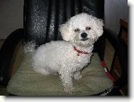 Tak tu �radujem 12 hod�n denne