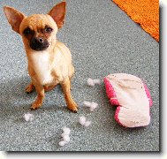 P�i�inliv� �ivava p�isti�ena po akci