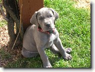 takhle mam p�zovat?