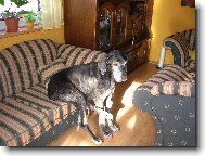 je�t� mi puste pros�m televizi