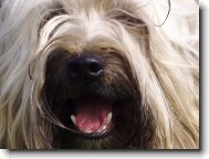 �sm�v, pros�m!