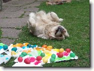 j� ty vejce rozv�l�m!