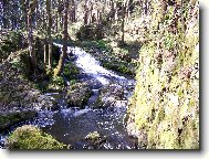 Bob�� sout�ska