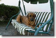 A u� je moje i houpa�ka!!