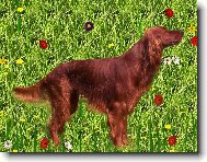 Orlando Kr�l�v hr�dek