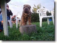 Rupp��ek - �editel zem�koule :)