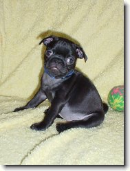 To jsem J� - Luisa