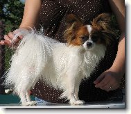 Eset Porubdk� kv�t