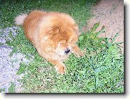 j� si po�k�m,a� vyleze�