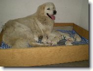 �t���tka s maminkou Nerkou