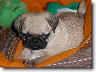 Je�t� malink� Ebinka