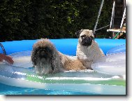 Ebinka a Ayminka na leh�tku