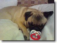 No nen� jak miminko??