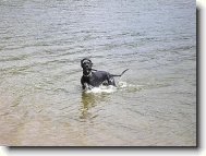 jsem frajer,jako t�ta..