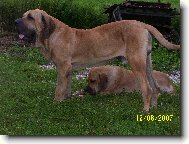 pohodi�ka po sn�dani...