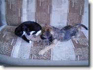 Argo s na�� m�nou