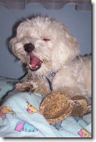 j� m���m hlad