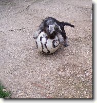 Mal� sportovkyn�