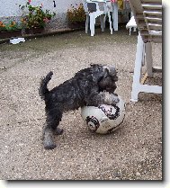 Snad ten m�� zvl�dnu