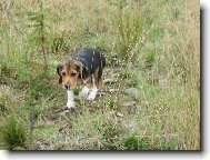 ron��ek mil��ek