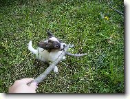 Bettynka m� klac��ek :-)