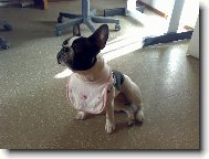 Douf�m, �e to bude dobr�!