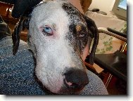 To m�m,ale o�ka??