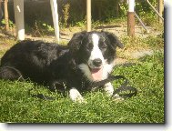 Deany, moje nejv�t�� l�ska