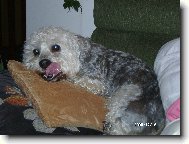 To je m�j pol�t��ek