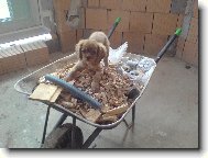 J� chci taky pomoct