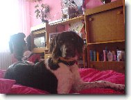 Argo ze Z�humenice- 10 m�s�c�