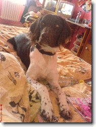 Argo ze Z�humenice- 10 m�s�c�