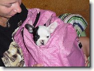 Lilith - mal� mimi