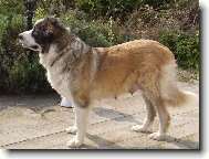 B�ra - v�ce na www.uandyho.blog.cz